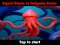 Squid Game In Dalgona Panic — δωρεάν online παιχνίδι