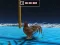 Animal Impossible Track Rush — δωρεάν online παιχνίδι