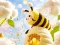 Find The Differences: Little Bee's Adventure — δωρεάν online παιχνίδι