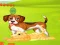 Bunny Key Quest — δωρεάν online παιχνίδι