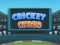 Cricket Craze — δωρεάν online παιχνίδι
