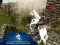 Ertugrul Gazi Horse Sim — δωρεάν online παιχνίδι