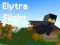 Elytra Flight — δωρεάν online παιχνίδι