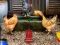 Poultry Farm Easter Escape — δωρεάν online παιχνίδι