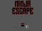 Ninja escape — δωρεάν online παιχνίδι