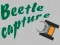 Beetle Capture — δωρεάν online παιχνίδι