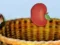 Harvesting — δωρεάν online παιχνίδι