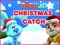 Nick Jr. Christmas Catch — δωρεάν online παιχνίδι