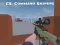 CS: Command Snipers — δωρεάν online παιχνίδι