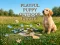 Playful Puppy Outdoor Puzzle — δωρεάν online παιχνίδι