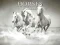 Horses Puzzle — δωρεάν online παιχνίδι