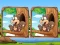 Jungle 5 Diffs — δωρεάν online παιχνίδι
