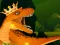 The Dino King — δωρεάν online παιχνίδι