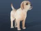 IDLE Pet — δωρεάν online παιχνίδι