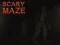 Scary Maze — δωρεάν online παιχνίδι