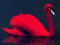 Love Birds Puzzle — δωρεάν online παιχνίδι