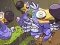 Save The Dodos — δωρεάν online παιχνίδι