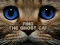 Find the Ghost Cat — δωρεάν online παιχνίδι