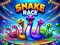 Snake Race — δωρεάν online παιχνίδι