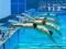Swimming Pool Race — δωρεάν online παιχνίδι