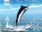 Azure Sea Fishing — δωρεάν online παιχνίδι