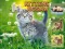 Kittens Jigsaw — δωρεάν online παιχνίδι
