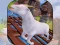 Angry Goat Wild Animal Rampage — δωρεάν online παιχνίδι