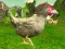 Chicken Shooter — δωρεάν online παιχνίδι