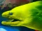 Underwater World Jigsaw — δωρεάν online παιχνίδι