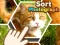 Sort Photograph — δωρεάν online παιχνίδι