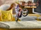 Bike Mania 4 Micro Office — δωρεάν online παιχνίδι