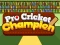 Pro Cricket Champion — δωρεάν online παιχνίδι