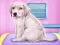 Labrador at the doctor salon — δωρεάν online παιχνίδι