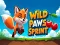 Wild Paws Sprint — δωρεάν online παιχνίδι