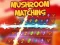 Mushroom matching — δωρεάν online παιχνίδι