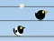 Gone with the Birds — δωρεάν online παιχνίδι