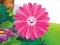 Funny Flowers Jigsaw — δωρεάν online παιχνίδι