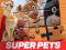DC League of Super Pets Jigsaw Puzzle — δωρεάν online παιχνίδι