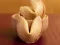 Fortune Cookies — δωρεάν online παιχνίδι