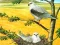 Birds Of Prey Puzzle — δωρεάν online παιχνίδι