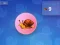 Snail Clicker — δωρεάν online παιχνίδι