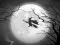 The Night Of the Witches Jigsaw — δωρεάν online παιχνίδι
