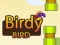 Birdy Bird — δωρεάν online παιχνίδι