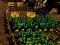 Pixel Farm — δωρεάν online παιχνίδι