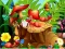 Hidden Objects Insects — δωρεάν online παιχνίδι