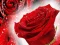 Red Roses — δωρεάν online παιχνίδι