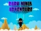 Dark Ninja Adventure — δωρεάν online παιχνίδι