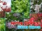 Spring Flowers: Hidden Objects — δωρεάν online παιχνίδι