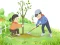 Arbor Day Puzzle — δωρεάν online παιχνίδι