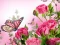 Butterflies Puzzle — δωρεάν online παιχνίδι